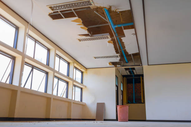 Reliable Iowa Colony, TX Water damage restoration Solutions