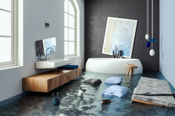 Best Professional water damage repair  in Iowa Colony, TX
