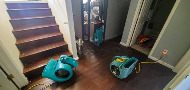 Best 24/7 water damage repair  in Iowa Colony, TX
