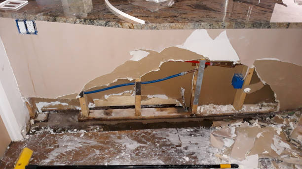 Best Carpet water damage restoration  in Iowa Colony, TX