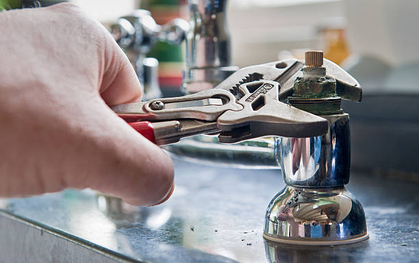 Best Flooded house restoration  in Iowa Colony, TX