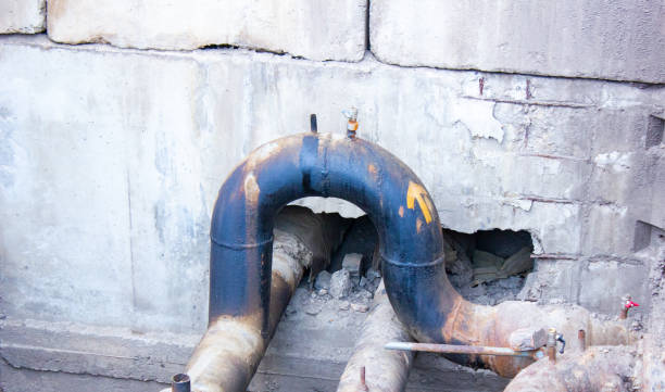 Best Water damage repair service  in Iowa Colony, TX