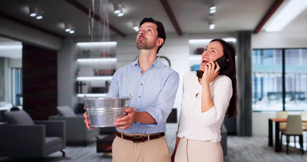 Best Water damage contractors near me  in Iowa Colony, TX